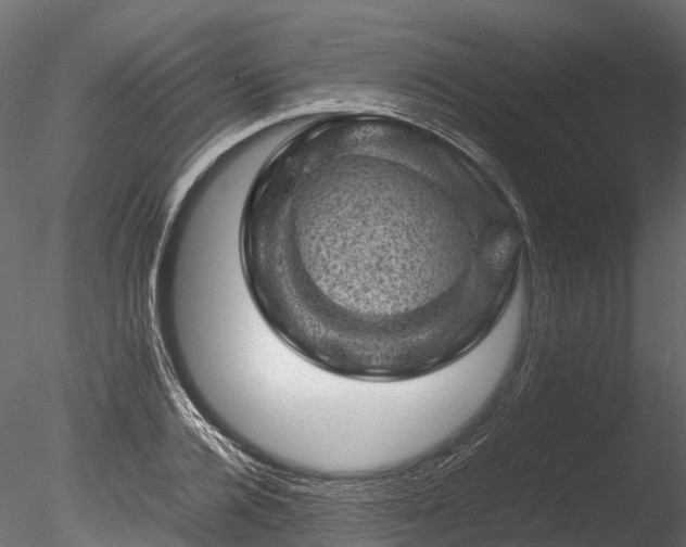 X0000085290936200703161446