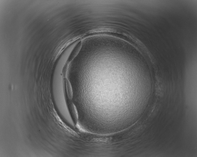 X0000085290937200703161446