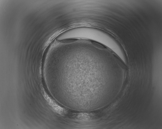 X0000085290938200703161446