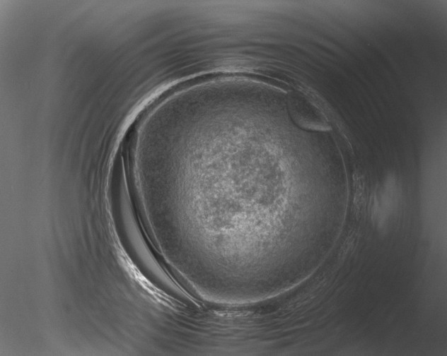 X0000085290939200703161446