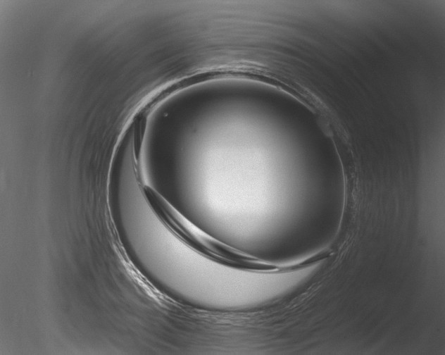 X0000085290940200703161446