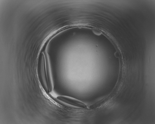 X0000085290941200703161446