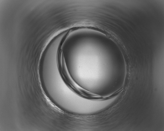 X0000085290942200703161446