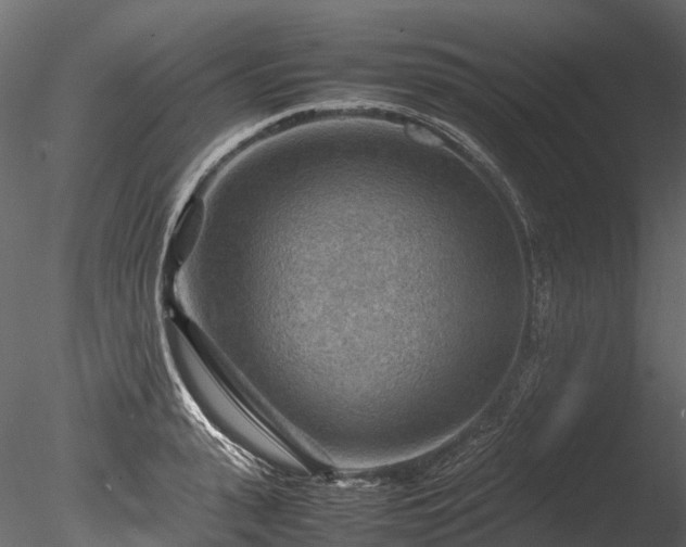 X0000085290943200703161446