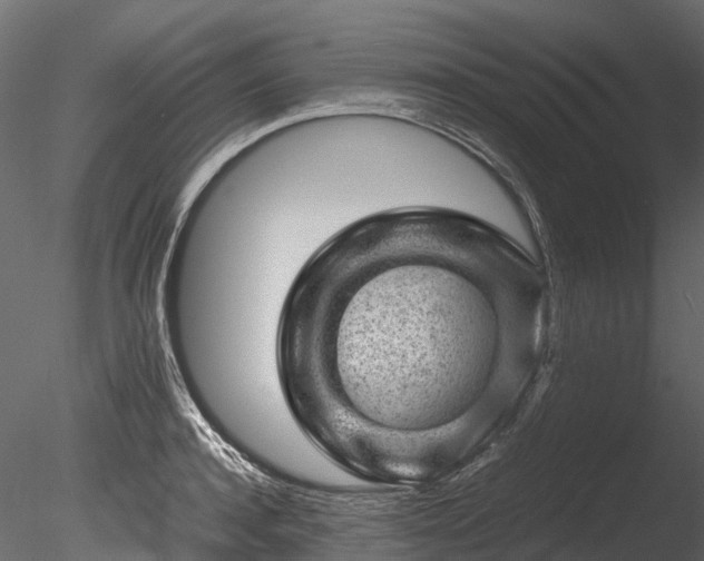 X0000085290944200703161446