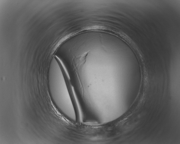 X0000085290945200703161446