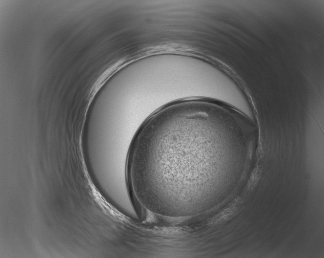 X0000085290946200703161446