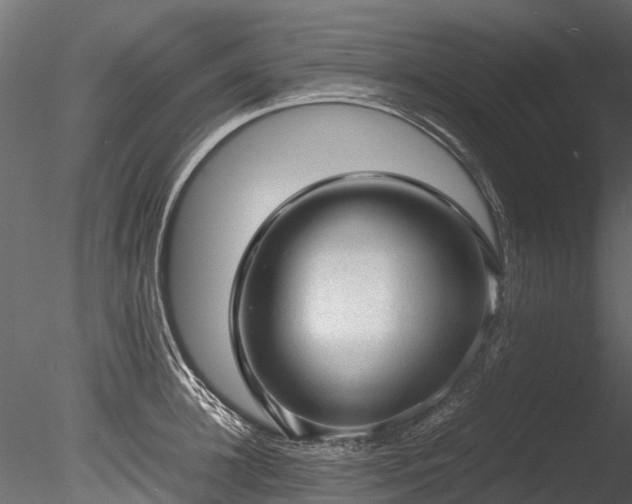 X0000085290948200703161446