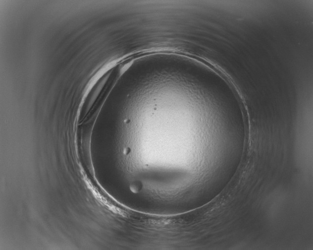 X0000085290949200703161446