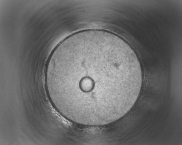 X0000085290950200703161446