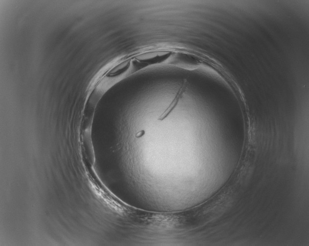 X0000085290954200703161446