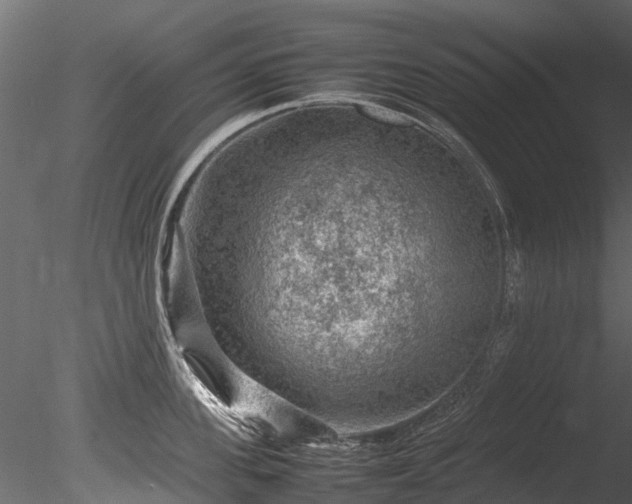 X0000085290955200703161446