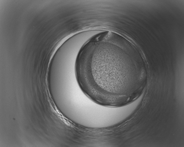 X0000085290956200703161446