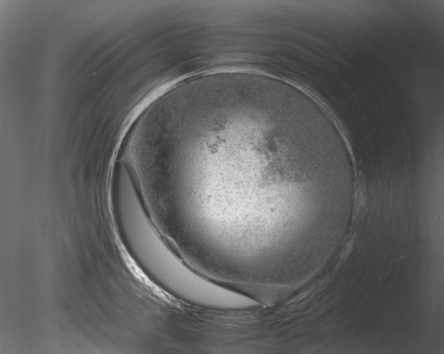 X0000085290957200703161446