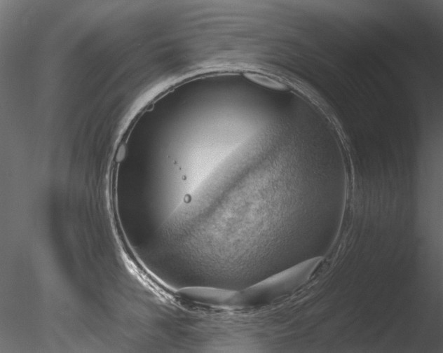 X0000085290958200703161447