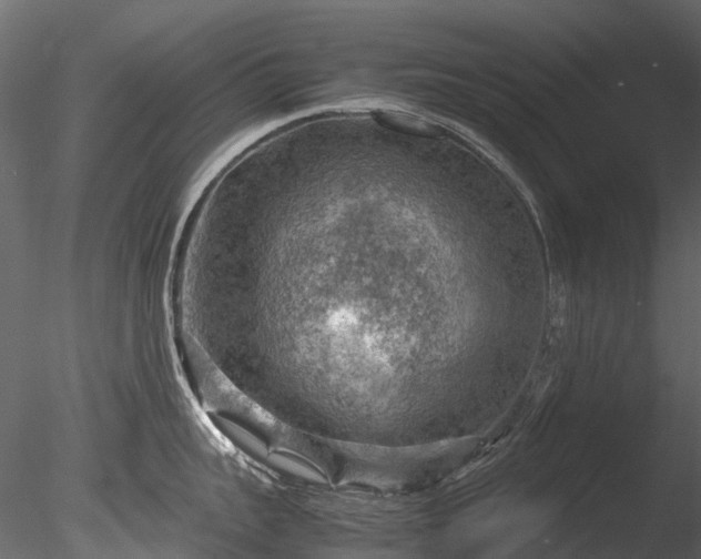 X0000085290959200703161447