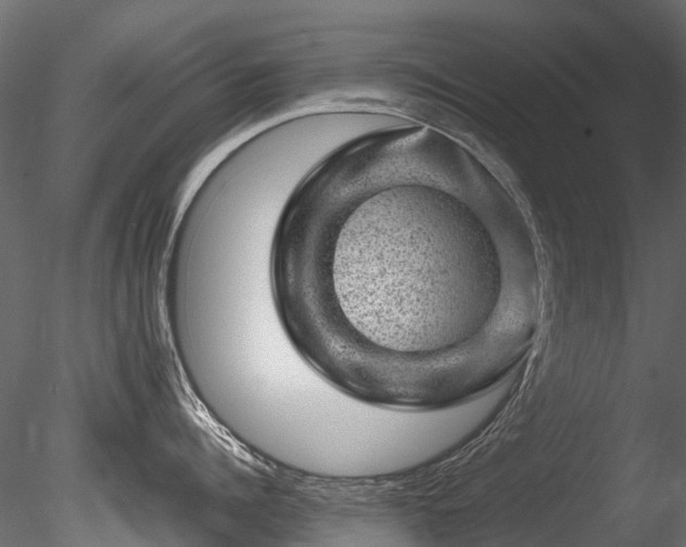 X0000085290960200703161447