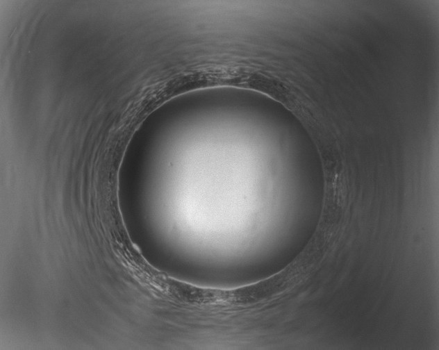 X0000085290961200703161446