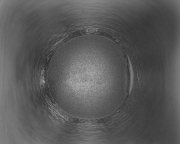 X0000085290962200703161446