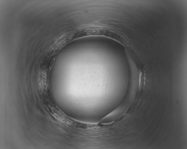 X0000085290964200703161446