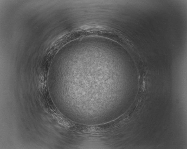 X0000085290966200703161446