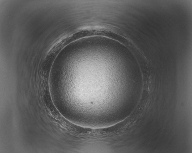 X0000085290967200703161446