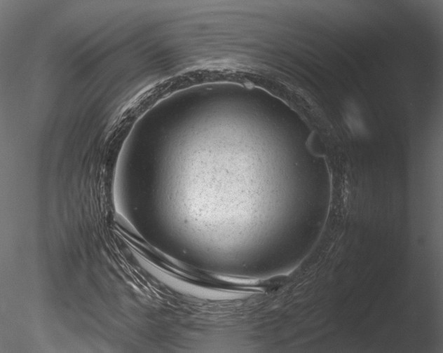 X0000085290968200703161446