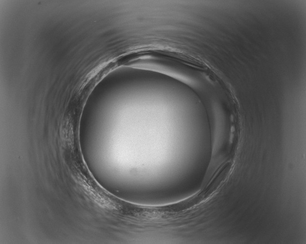 X0000085290969200703161446