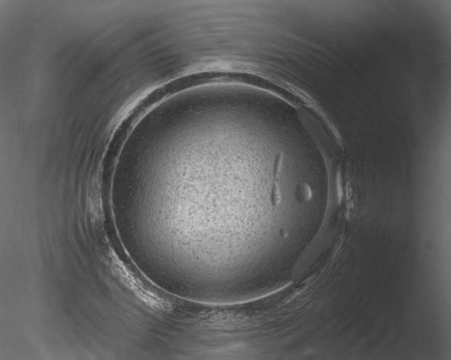 X0000085290972200703161446