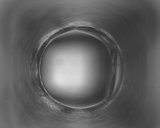 X0000085290973200703161445