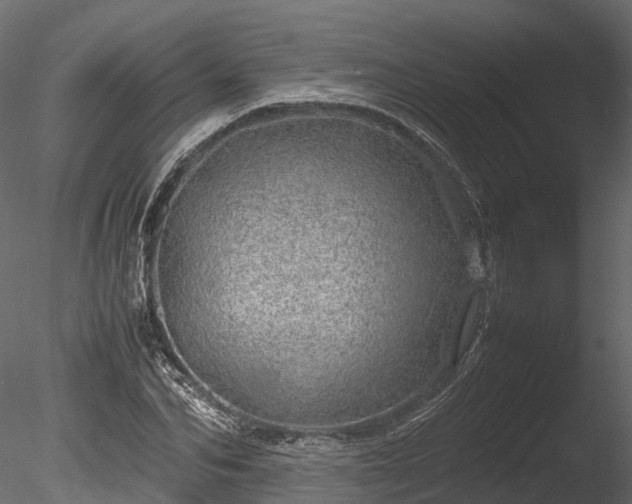 X0000085290974200703161445