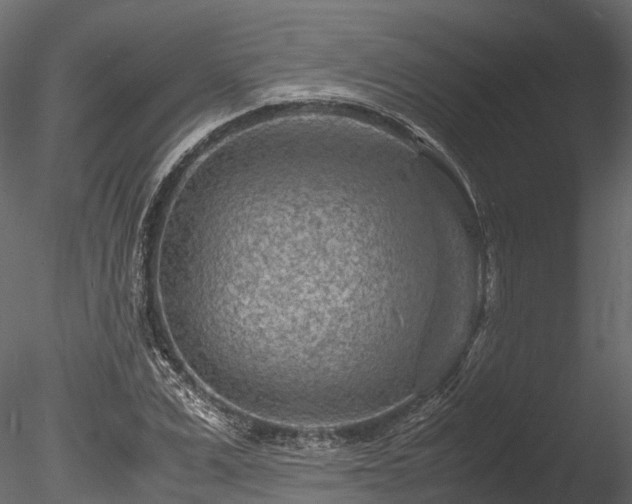 X0000085290975200703161445