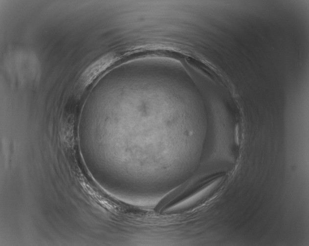 X0000085290977200703161445