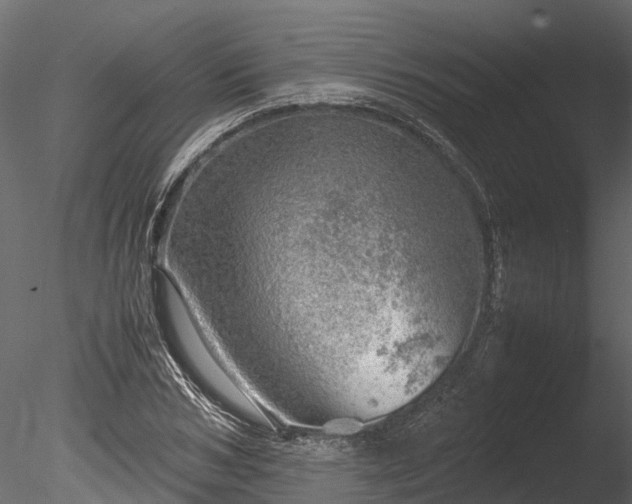 X0000085290978200703161445