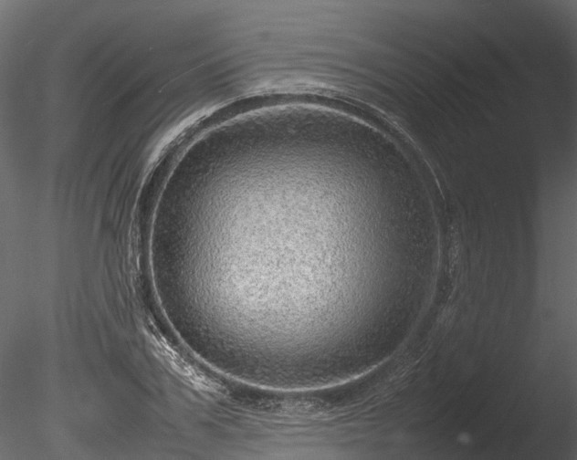 X0000085290979200703161445