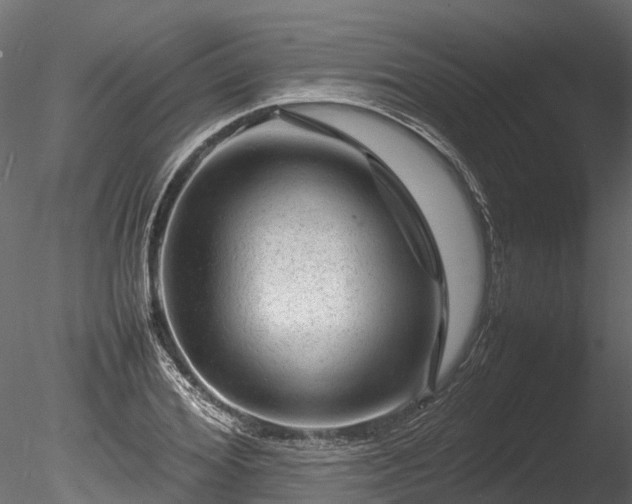 X0000085290980200703161445