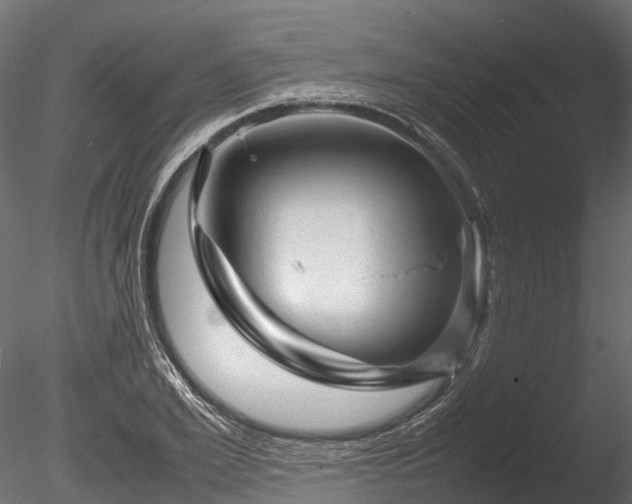 X0000085290981200703161445