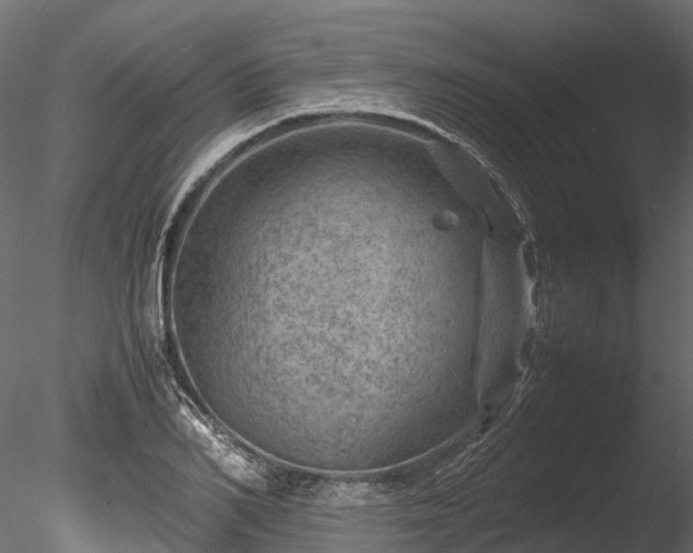 X0000085290982200703161445