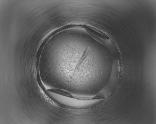 X0000085290984200703161445