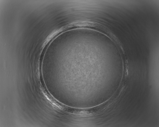 X0000085290986200703161445