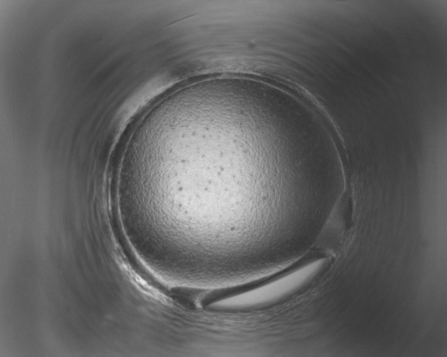 X0000085290987200703161445