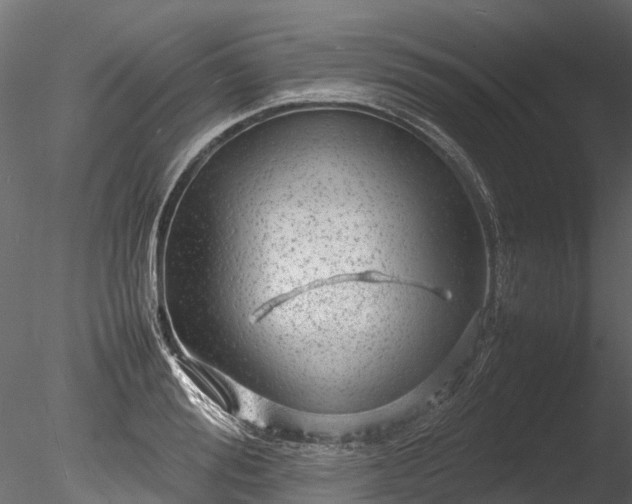 X0000085290988200703161445