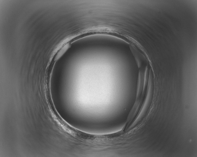 X0000085290989200703161445