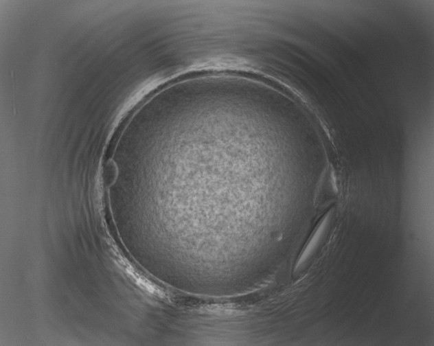 X0000085290990200703161445