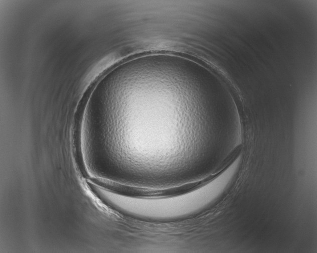 X0000085290991200703161445