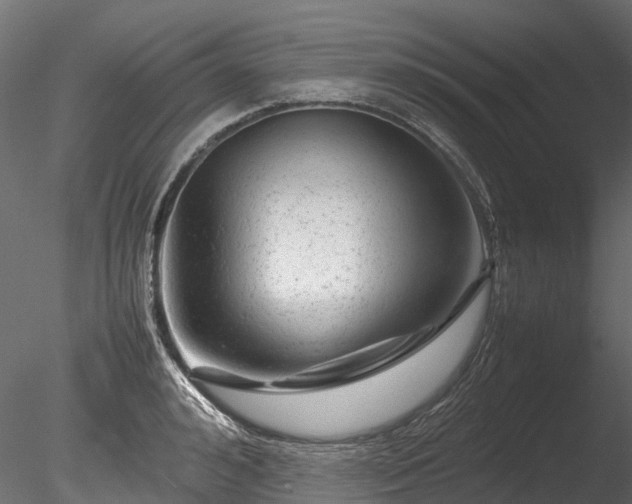 X0000085290992200703161445