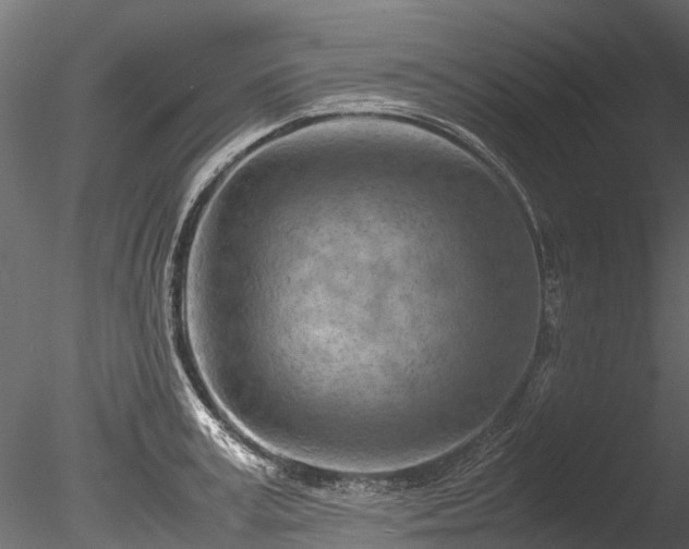 X0000085290995200703161445