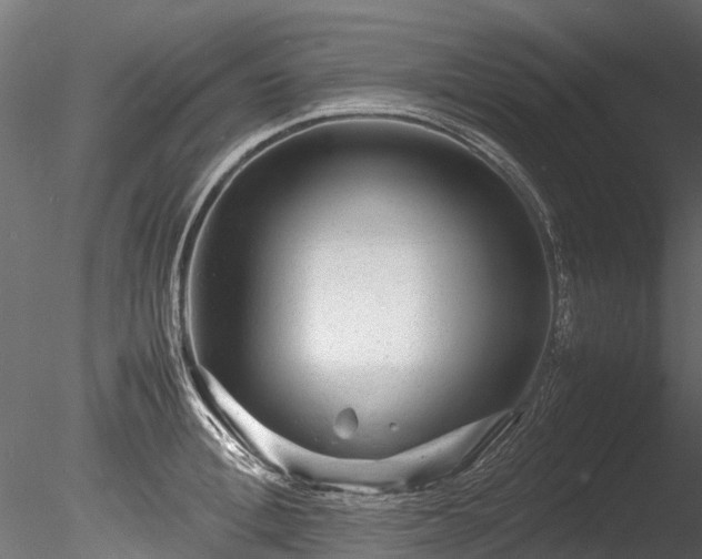 X0000085290996200703161445