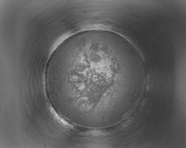 X0000085290998200703161445