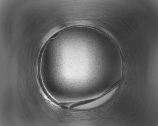 X0000085290999200703161445